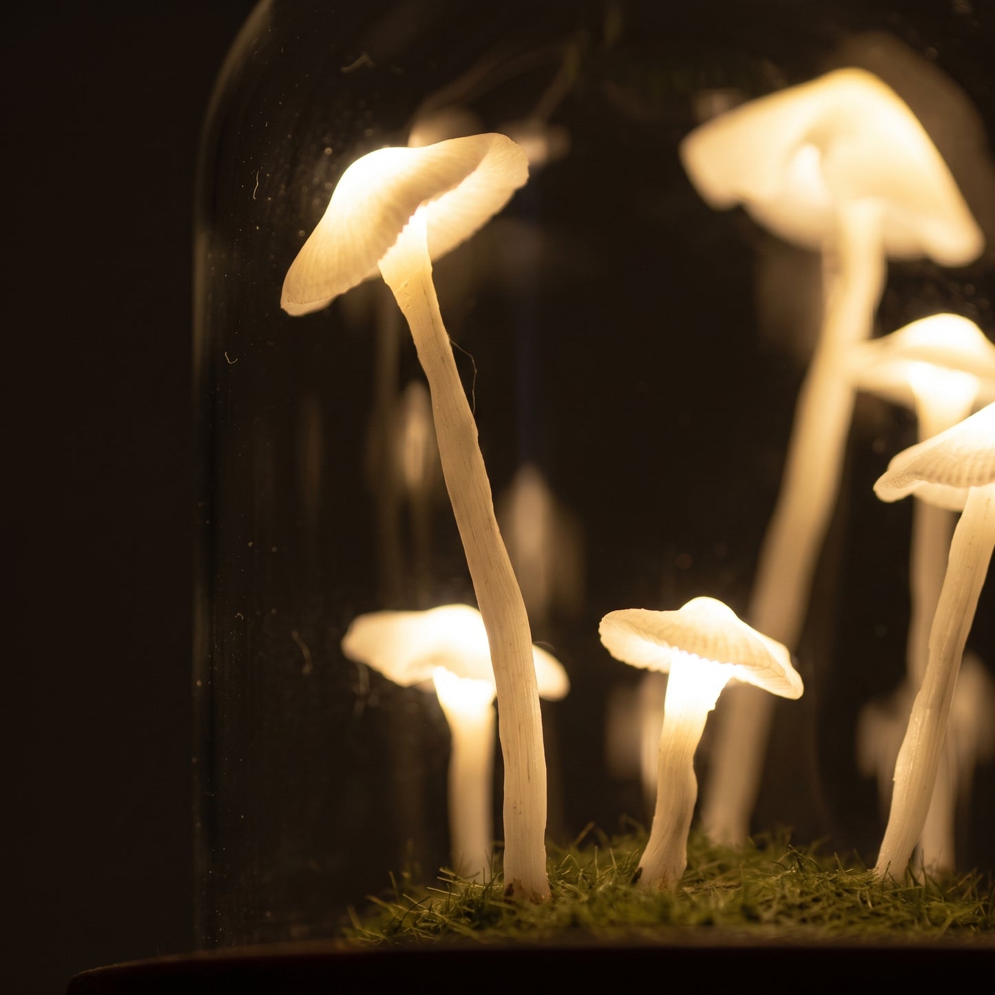 Close-up of the glowing white mushroom figures inside the terrarium night light glass dome