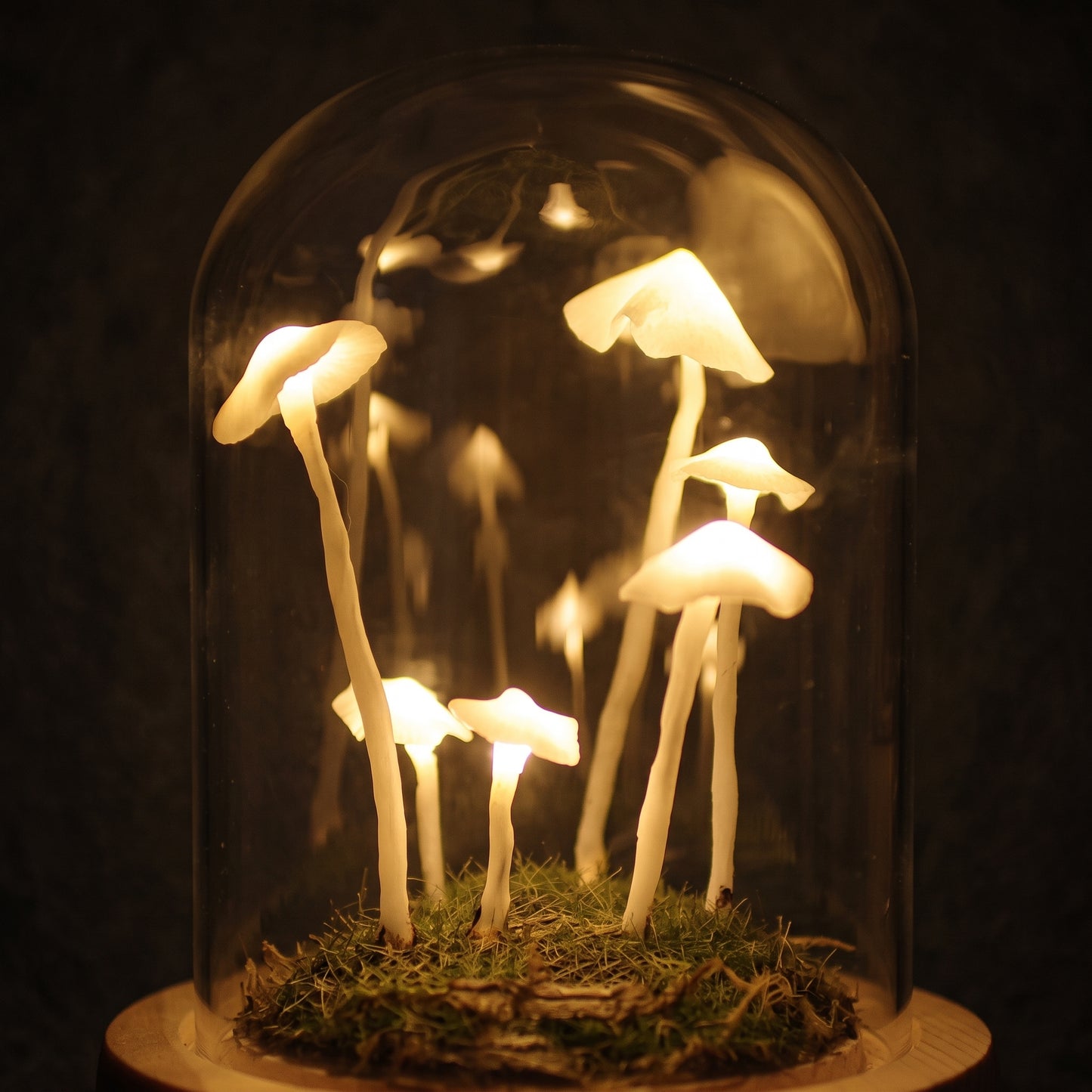 Mushroom terrarium night light — multiple glowing mushroom figures visible through glass dome